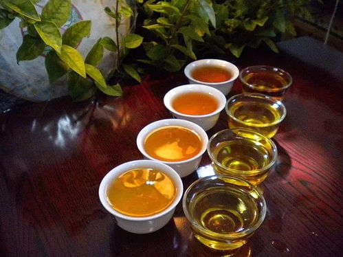 陜西推廣地域特色產業 86個地標產品成脫貧富民 金招牌